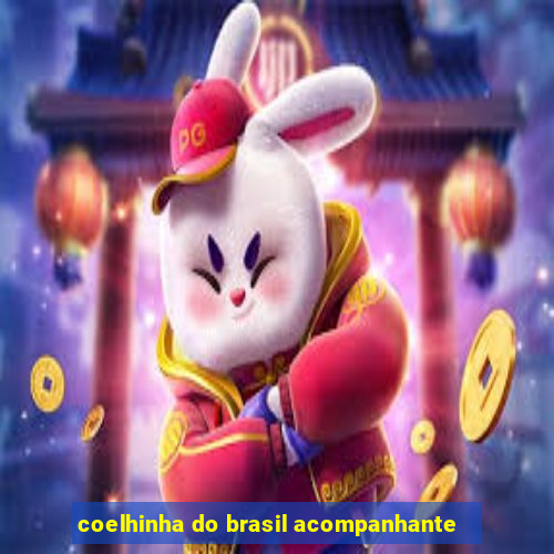 coelhinha do brasil acompanhante